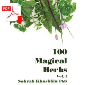 100 Magical Herbs Ebook Digital Copy